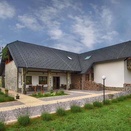 Villa Stone 1 Rakovica Extérieur photo
