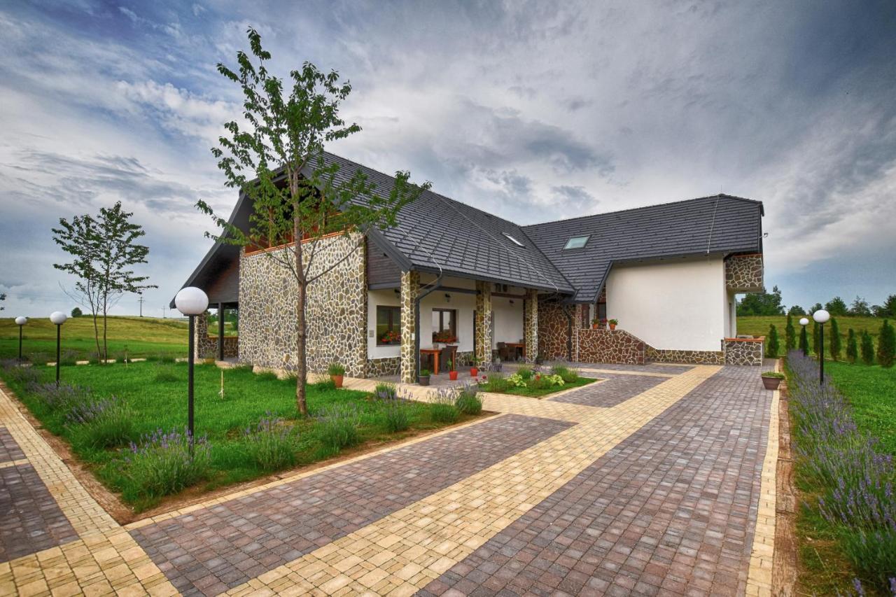 Villa Stone 1 Rakovica Extérieur photo